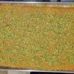 IMG-20240120-WA0032_1